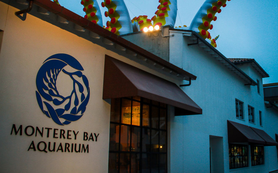 monterey-bay-aquarium